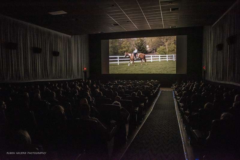 The buzz surrounding Best Family Film `Joy Of Horses` Executive Produced by Actress, writer, and producer Ava Justin.