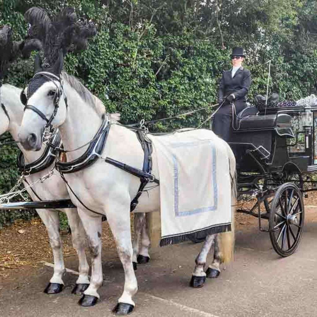 Bay Tree Funerals Extends Reach Across Leicester and Leicestershire