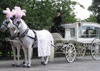 Bay Tree Funerals Extends Reach Across Leicester and Leicestershire