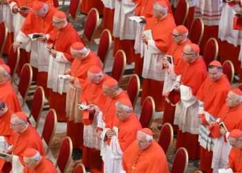 How long Until Next Pope Appointed – And Other Crucial Questions Answe | World | News