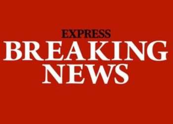 Young Child Injured in Horror dog Attack | UK | News