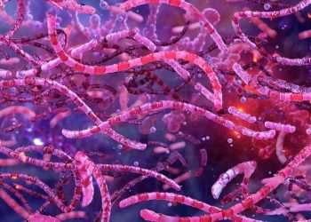 Anthrax Outbreak Sparks Cross-Border Alert In African Country Near Wildlife Park | World | News