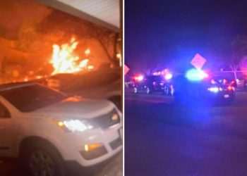 San Diego Plane Crash Live: 15 Homes on Fire After Aircraft Smashes Into Neighbourhood | World | News