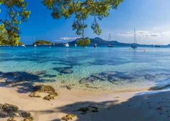 Horror in Majorca as Tourists Bitten By Fish in Popular Seaside Town | World | News