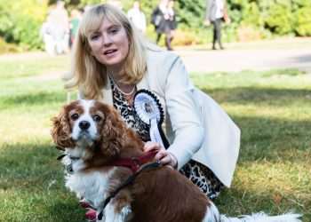 MINISTERS TOLD to Enforce Supreme Court Ruling on Sex Rights | Politics | News