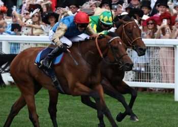 Reaves Warned ‘Attacking Racing is Attacking Countryside’ | Politics | News