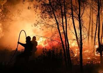 Greece Fire Chaos Continues as ‘Critical’ Warning Issued for the Country | World | News