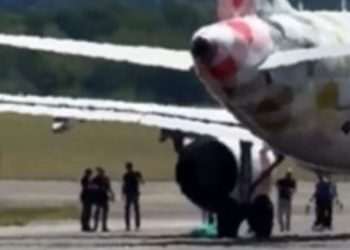 Milan Bergamo Airport Live: Man ‘Sucked Into Plane Engine’ Dies | World | News