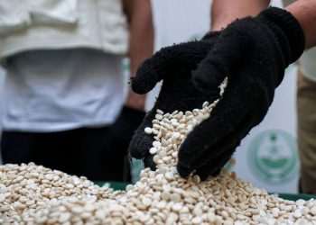 Terrorist Drug Gangs Planning to Flood Uk Streets With Addictive 'Jihadi Speed' | World | News