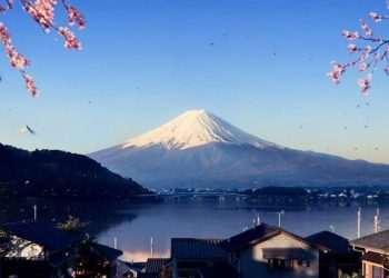 Forza Horizon 6 is yet another mistake for Xbox’s multiformat plans – Reader’s Feature