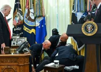 Donald Trump health fears soar as 'cognitive decline is obvious' | World | News