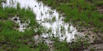 Rescue your waterlogged lawn with 1 item amid Storm Claudia downpours